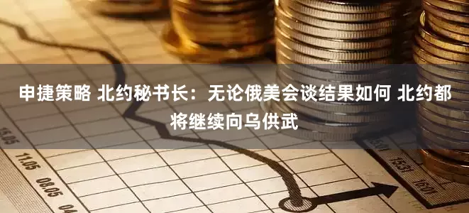 申捷策略 北约秘书长：无论俄美会谈结果如何 北约都将继续向乌供武