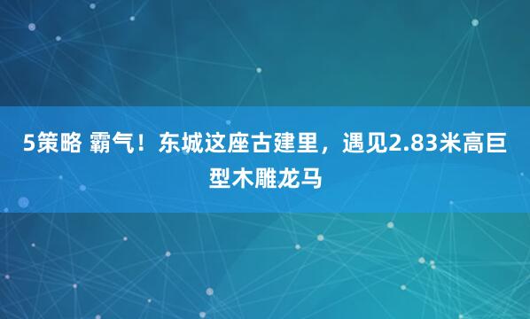 5策略 霸气！东城这座古建里，遇见2.83米高巨型木雕龙马