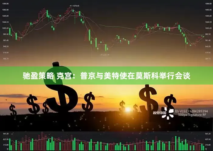 驰盈策略 克宫：普京与美特使在莫斯科举行会谈