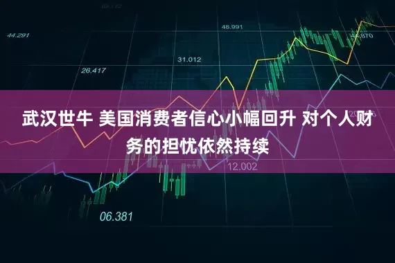 武汉世牛 美国消费者信心小幅回升 对个人财务的担忧依然持续