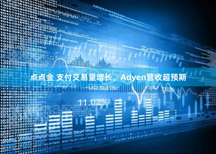 点点金 支付交易量增长，Adyen营收超预期